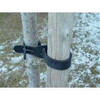 Cinturón ajustable para entutorado árbol