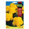 Crisantemo de los Jardines amarillo